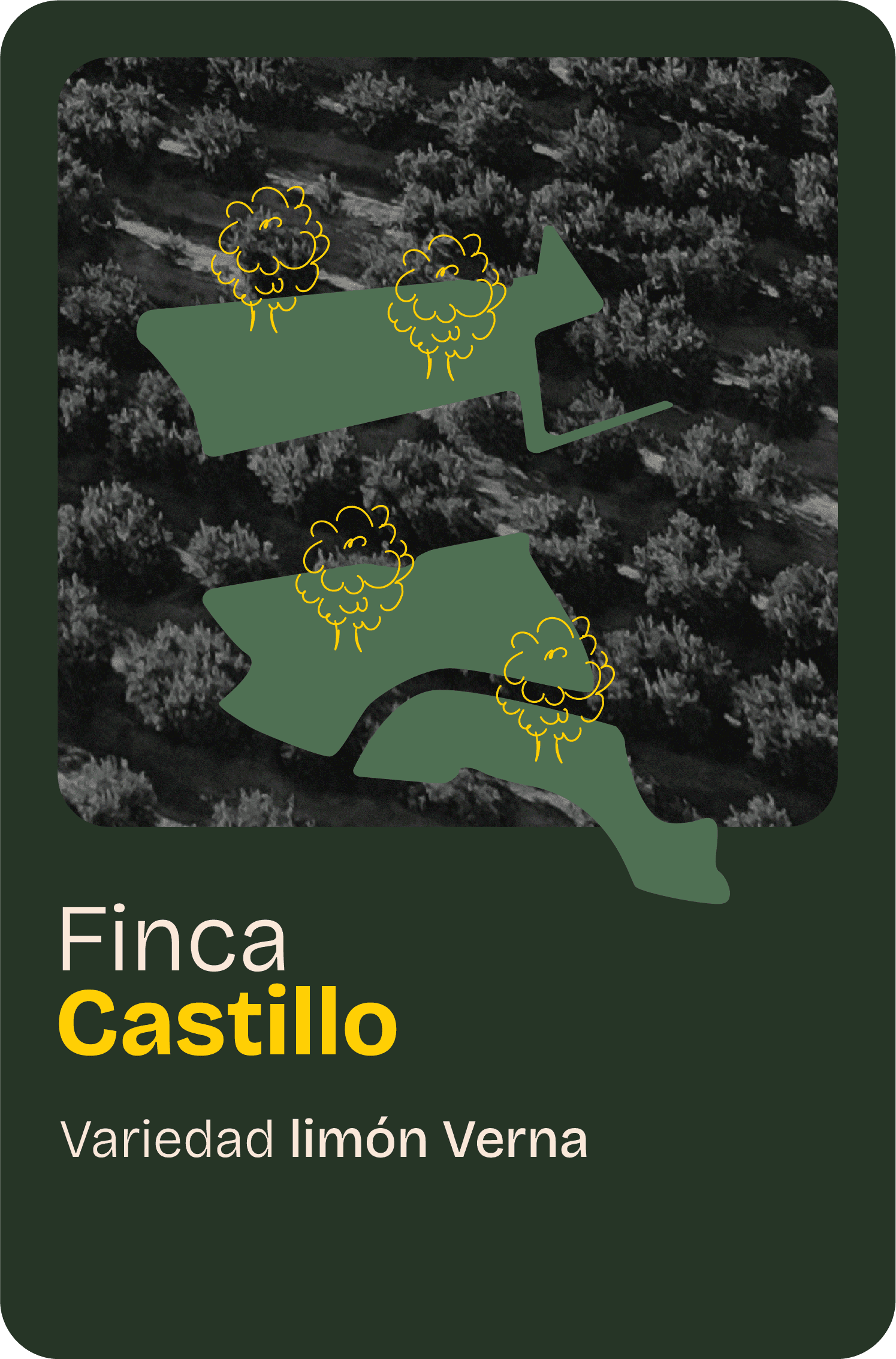 Finca home 01@2x