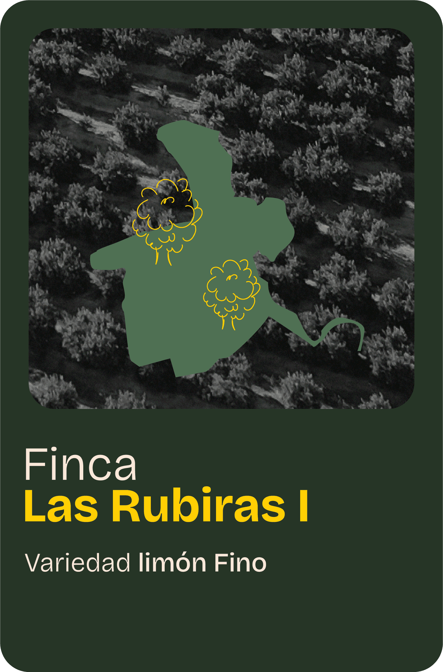 Finca home 02@2x