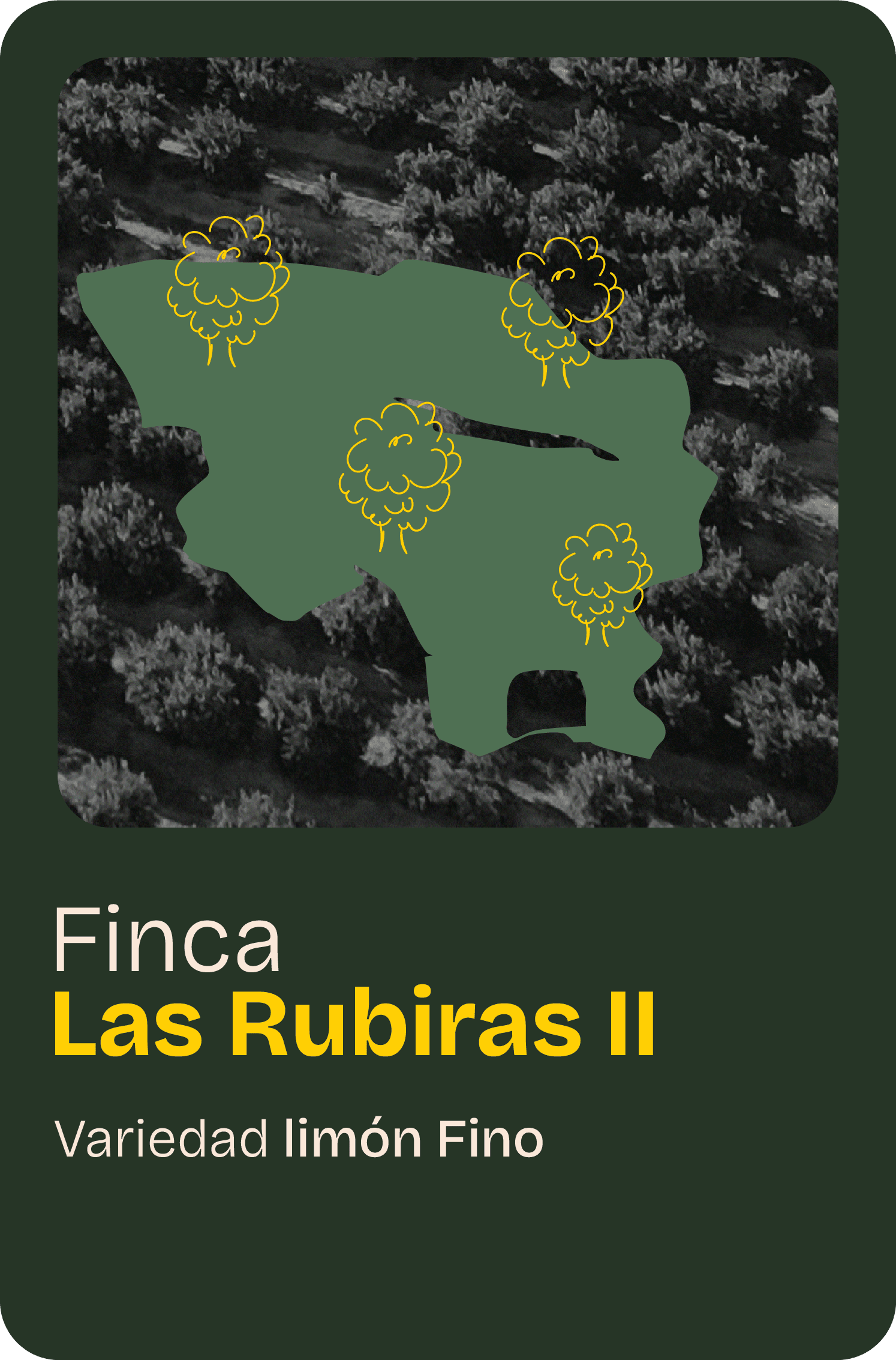 Finca home 03@2x