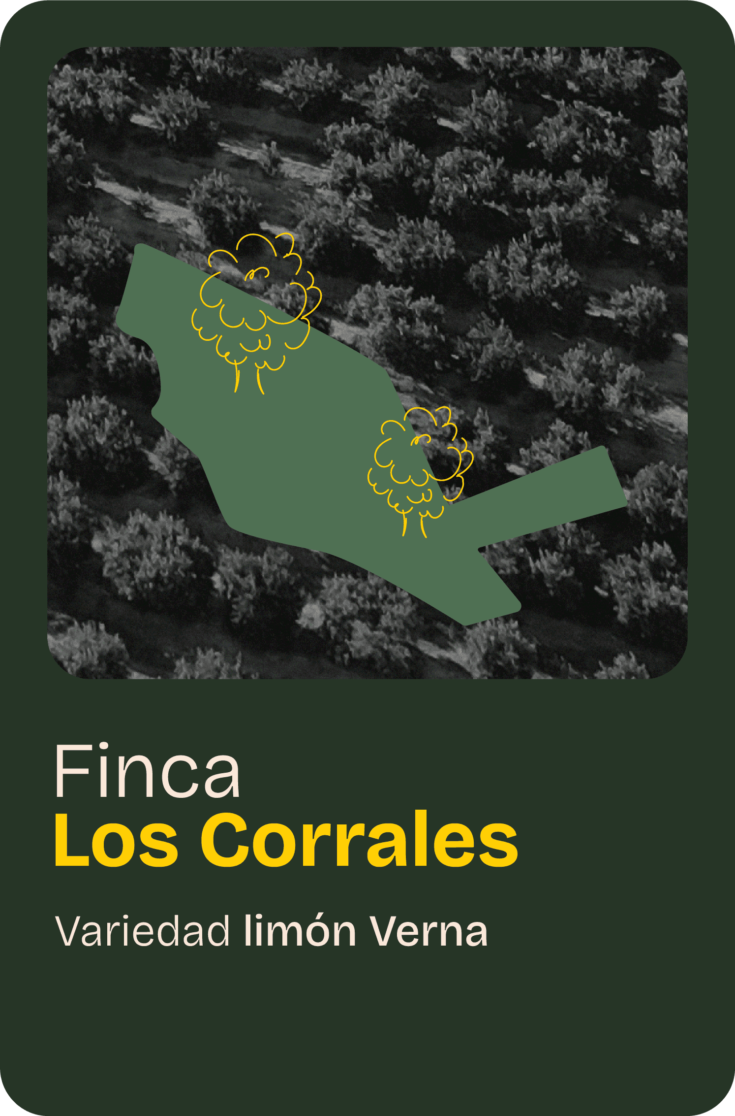 Finca home 04@2x