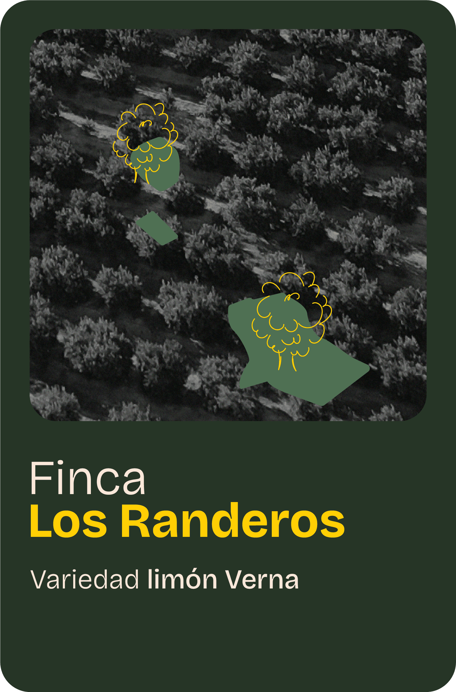 Finca home 05@2x