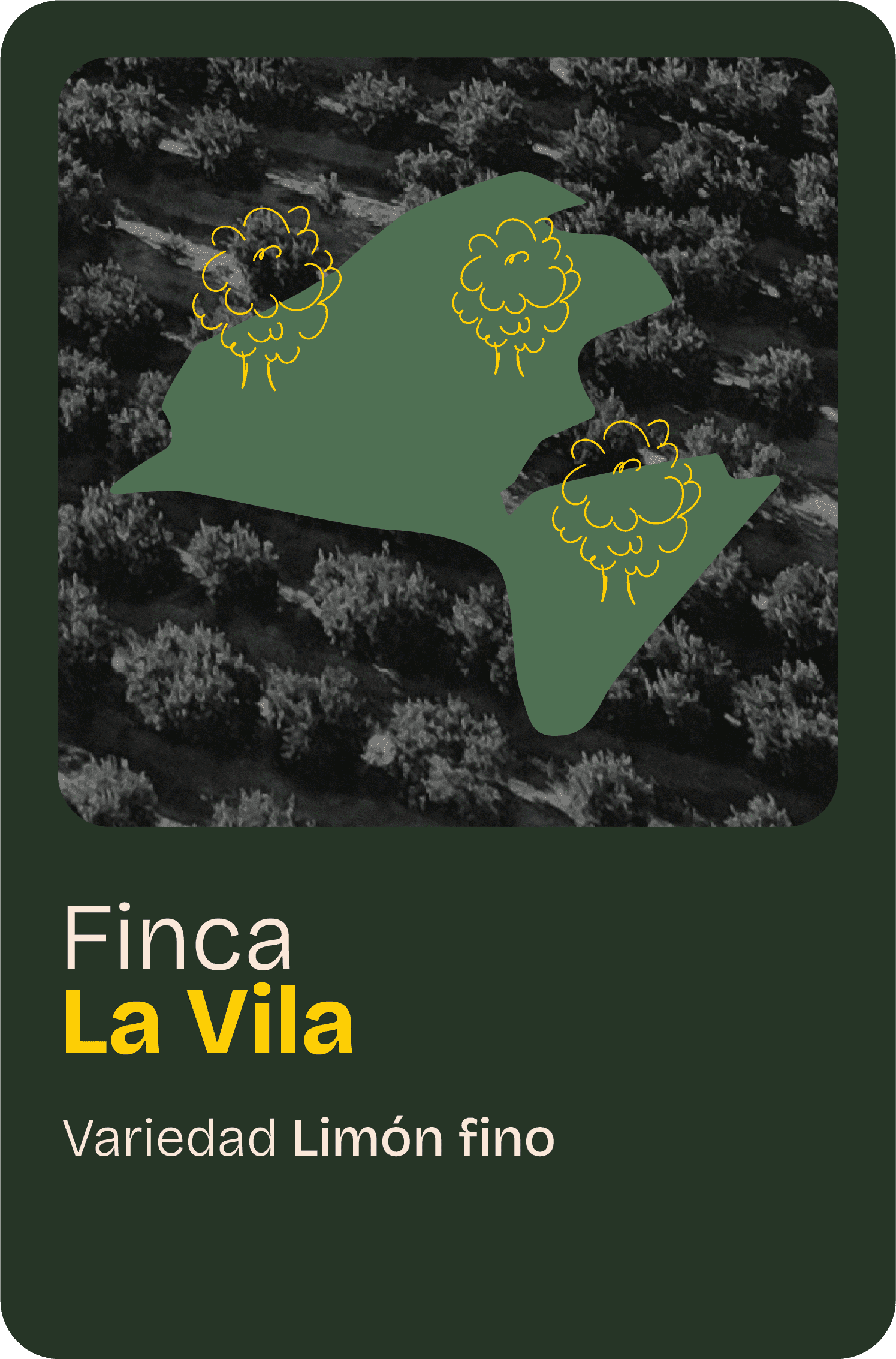 Finca home 08@2x