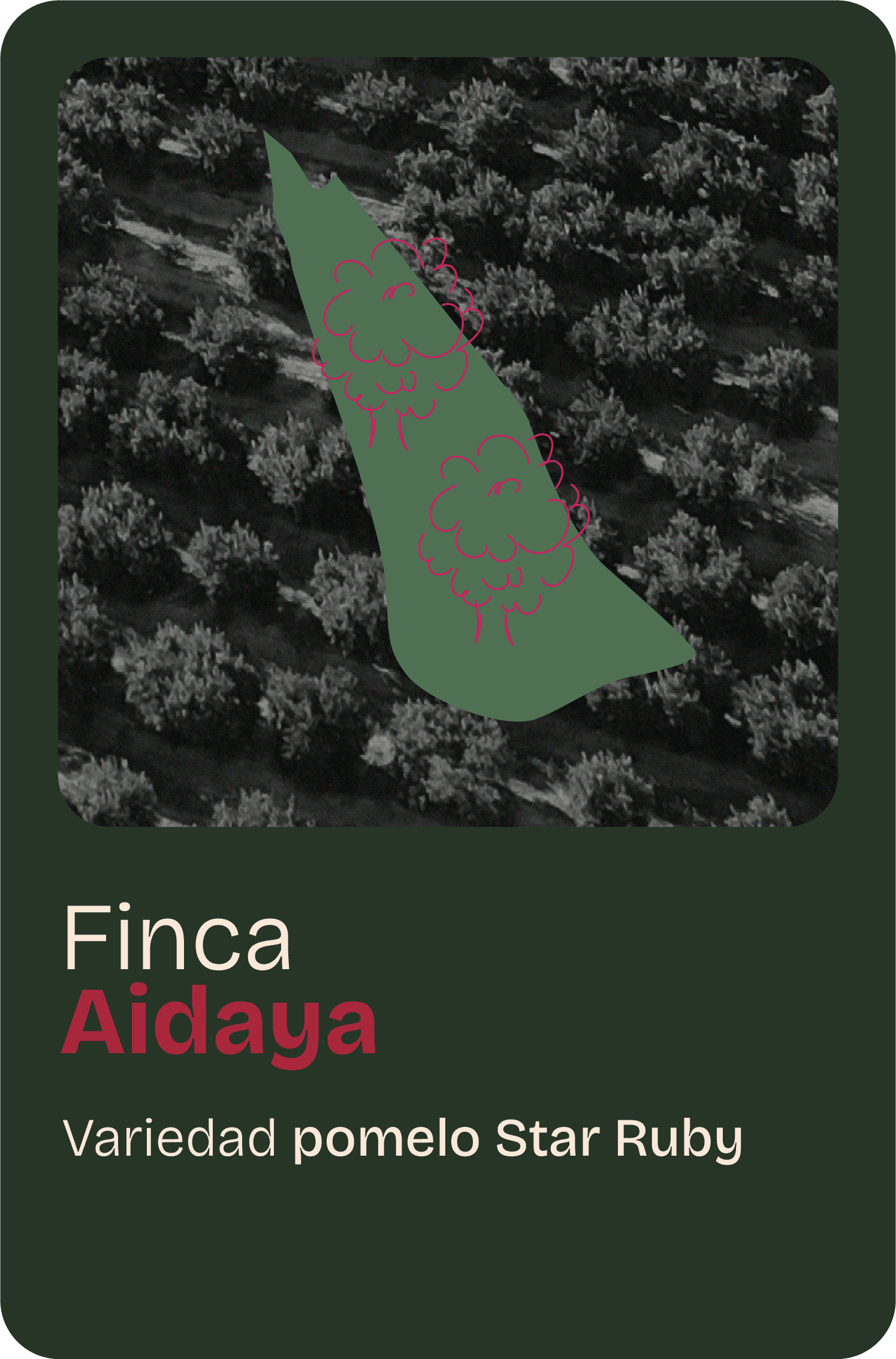 Finca home 09@2x