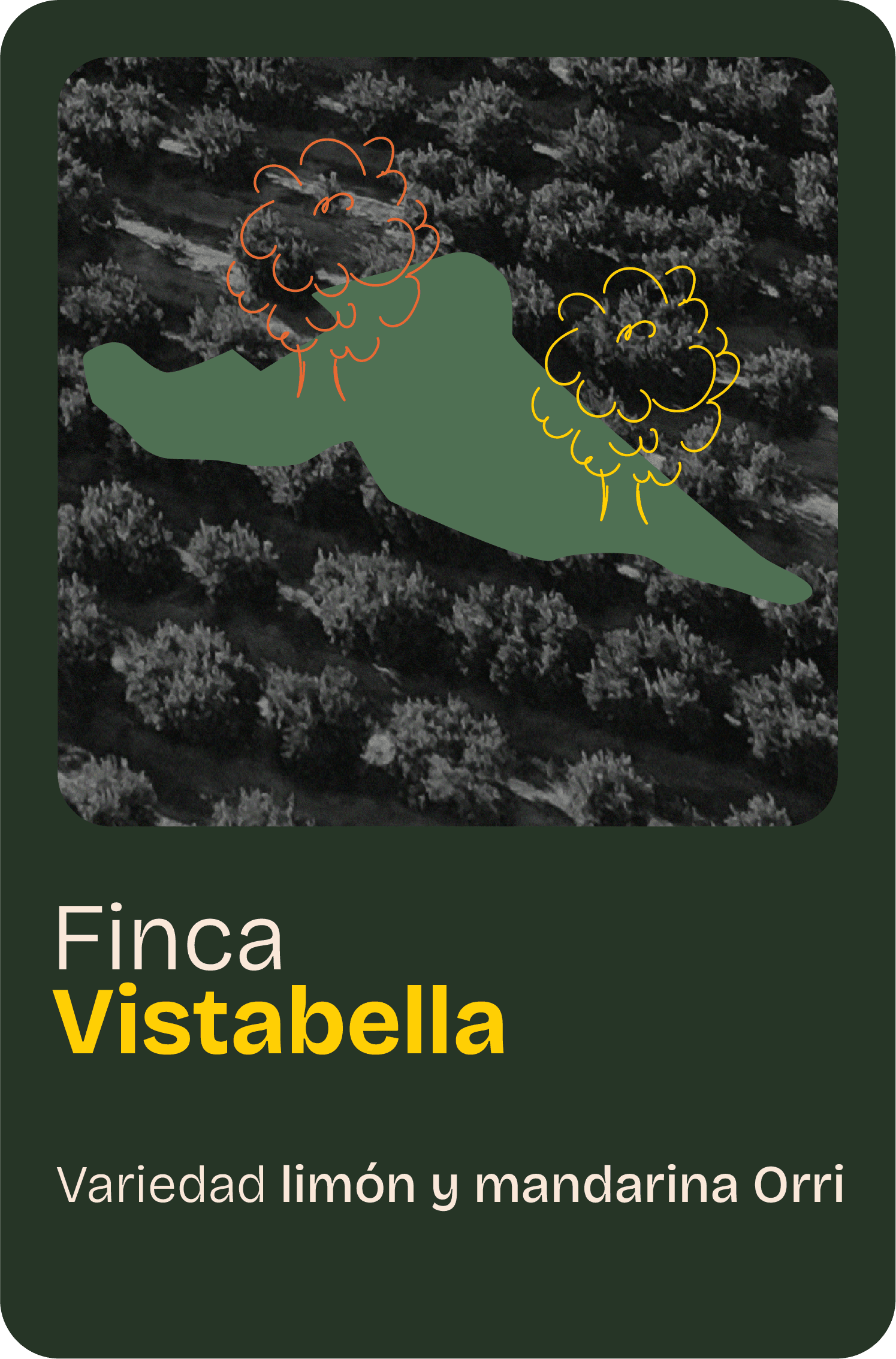 Finca home 10@2x