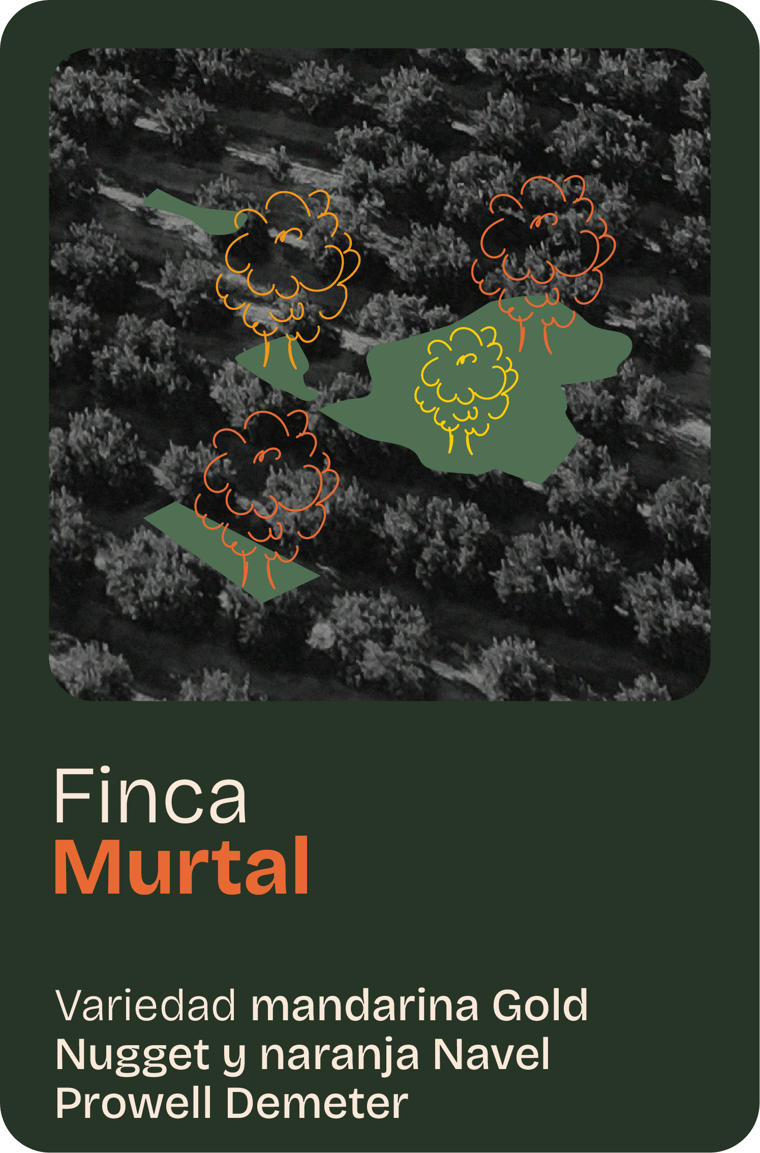 Finca home 11@2x