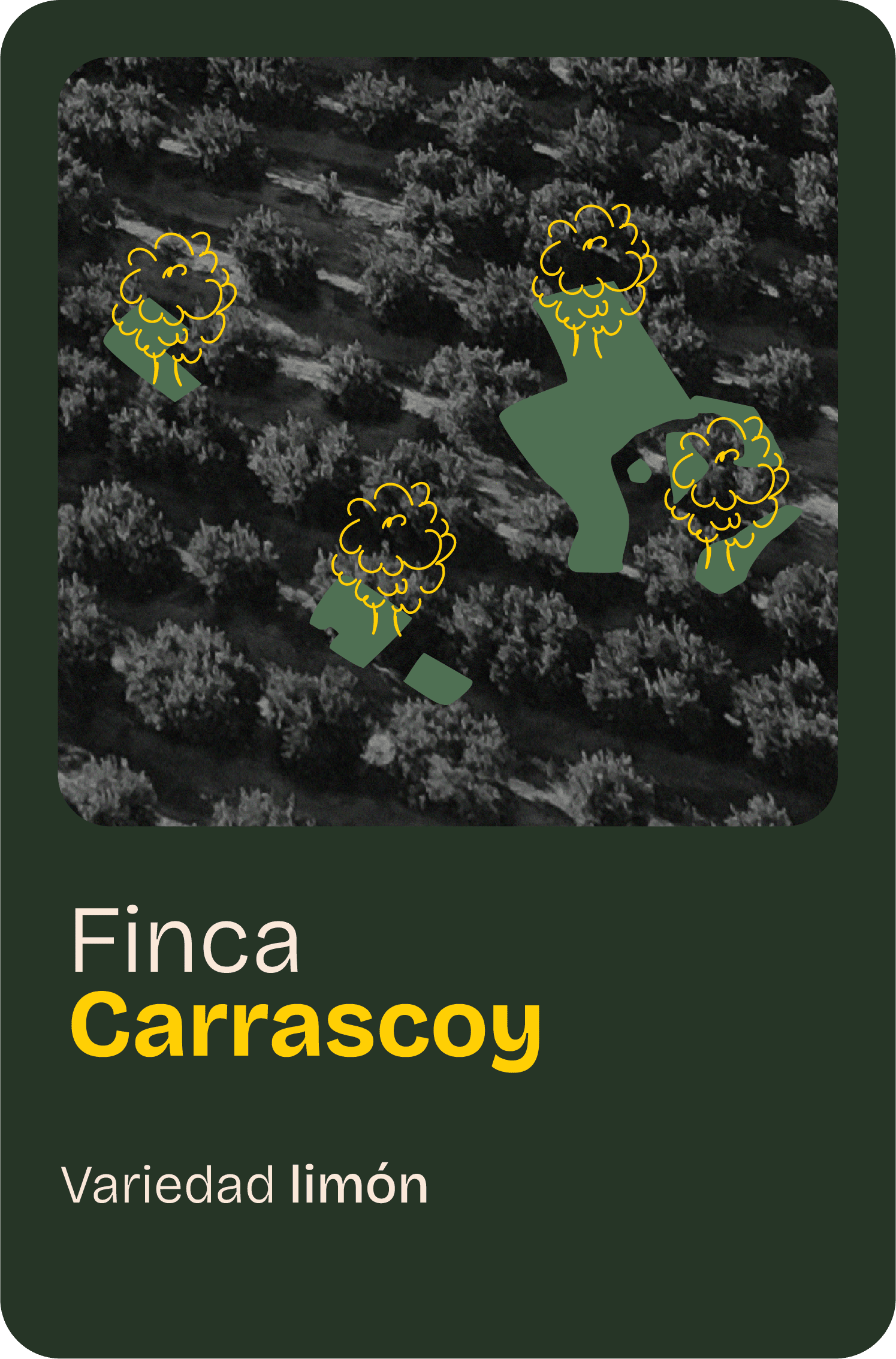 Finca home 13_2@2x